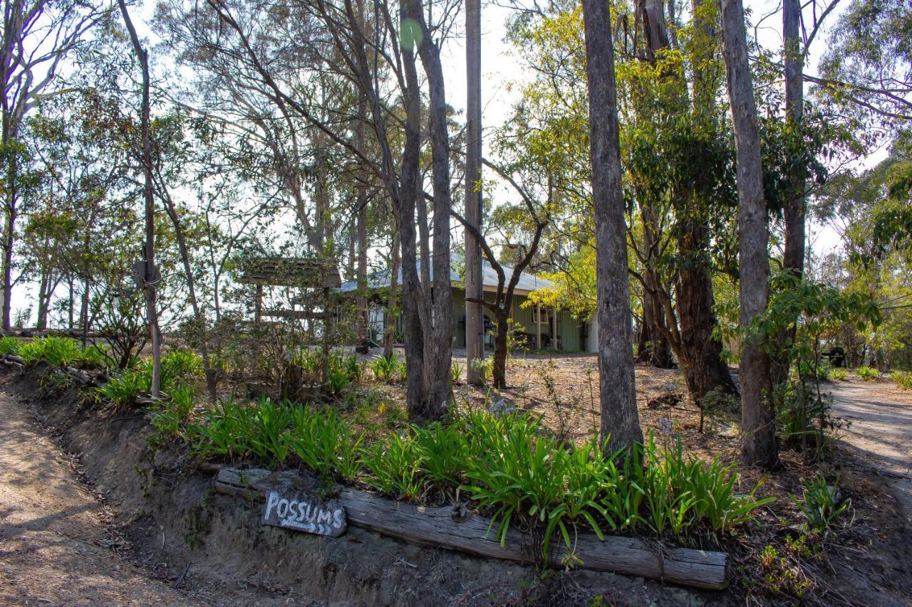 Kalimna Woods Cottages Лейкс Ентранс Екстериор снимка