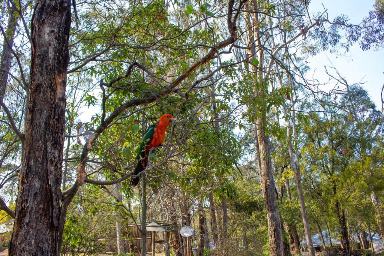 Kalimna Woods Cottages Лейкс Ентранс Екстериор снимка